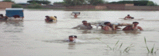 Mandiali Paper Mills
